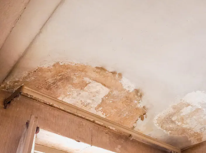 Water-stained, peeling ceiling caused by a roof leak