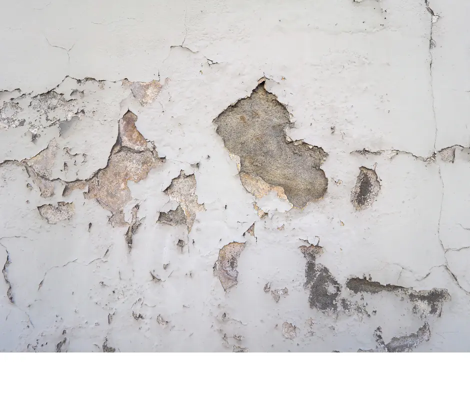 Peeling paint and crumbling plaster on a wall damaged by rising damp